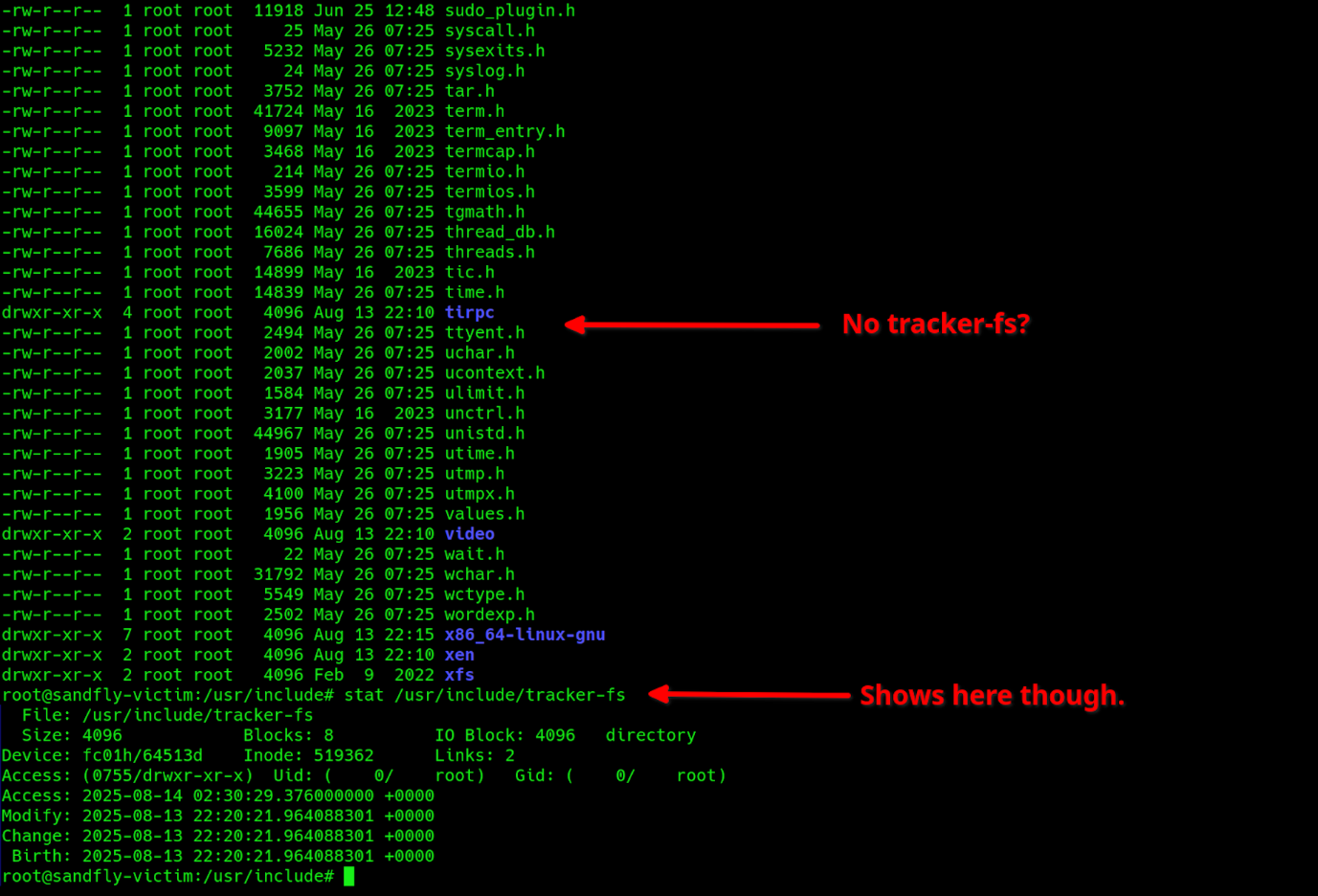 Shell with timing option for packets.