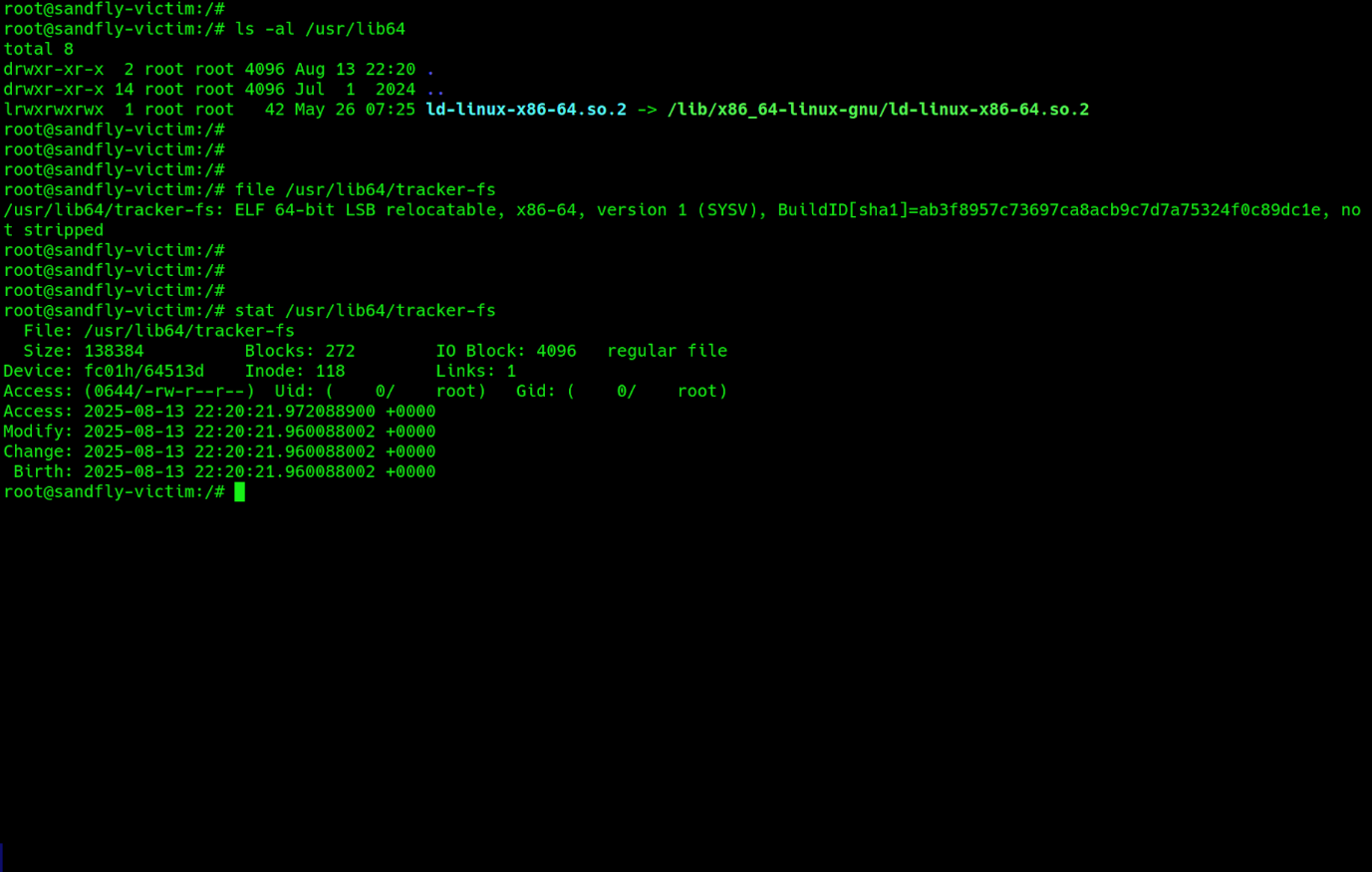 Revealing hidden backdoor binary.